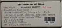 Image Associated With the Occurence
